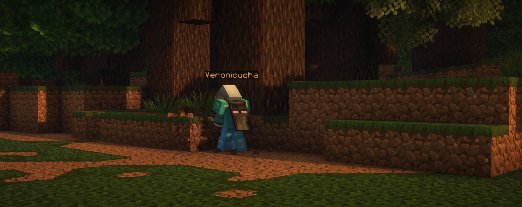 Veronicucha junto a un árbol en un bosque con caminos de tierra